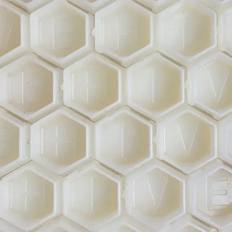 close up of hive caps hexagon cups in white
