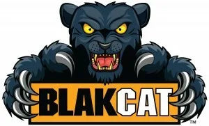 Its the logo of the dental bib brand - its a black cat 